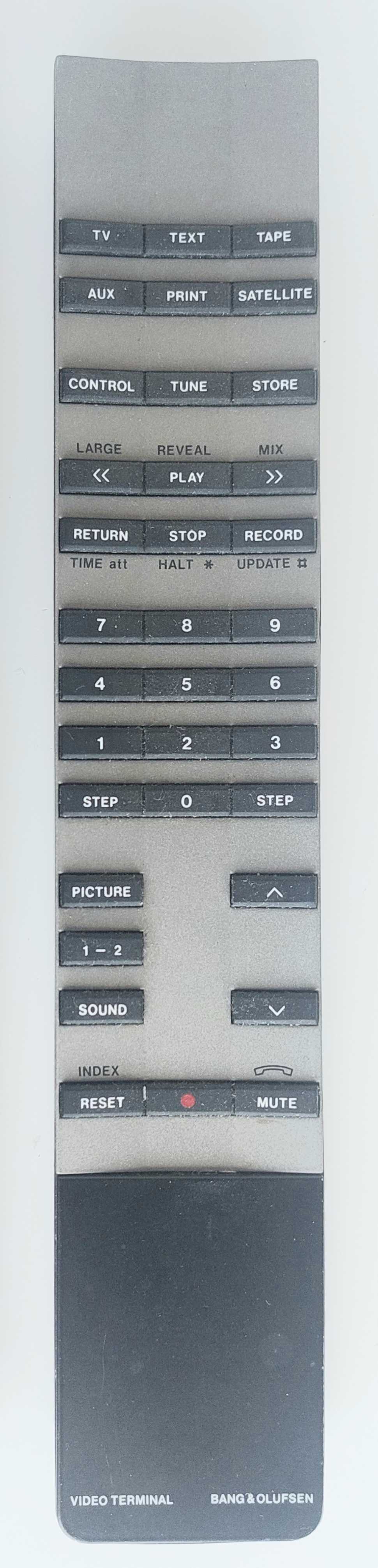Video Terminal